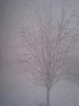 080124_0756~0001.jpg