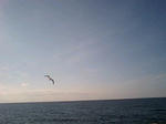 080203_1310~0001.jpg