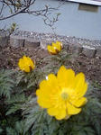 080410_1536~0002.jpg