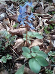080419_1413~0002.jpg