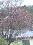 080428_0925~0001.jpg