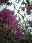 080430_1720~0002.jpg