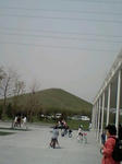 40533477.JPG