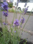 080617_1858~0001.jpg