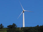 CIMG0089.JPG