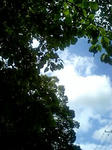 080819_1248~0001.jpg