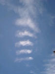 080904_0911~0001.jpg