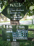080908_1318~0001.jpg