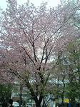 090503_1625~0001.jpg