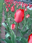 090503_1628~0001.jpg