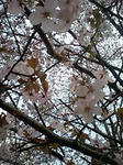 090503_1621~0001.jpg
