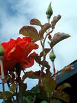090720_1446~0001.jpg