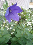 CA370014.JPG