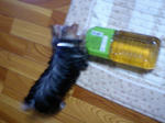 CA370015.JPG
