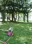 090911_1021~0001.jpg