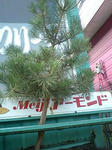 090910_1108~0002.jpg
