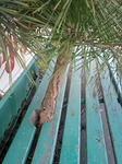 090910_1109~0001.jpg
