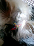 091023_2310~0001.jpg