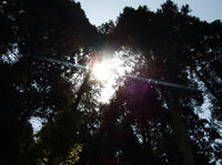 温泉津空3