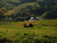 GW-3(2