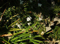 GW-3(9