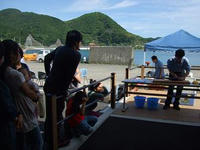 高知ー14