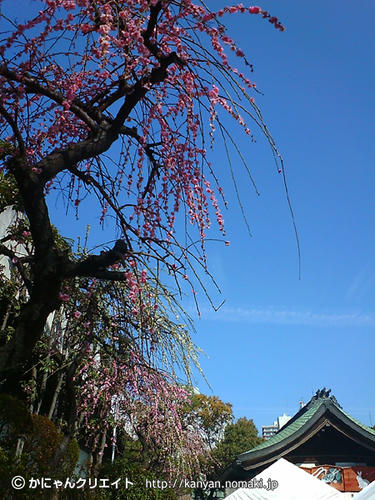 梅空