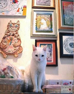 ねこふん展示風景2009