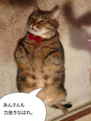 あんさんもちから抜きなはれ