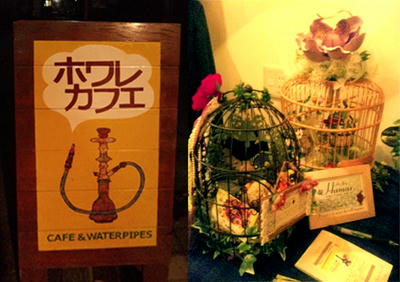 Hamax.個展鳥かごシンドローム