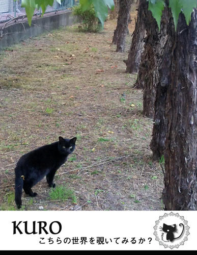 KURO