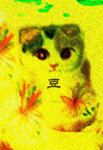 豆ちゃんイラストポスカ