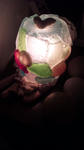 DVC00111.jpg