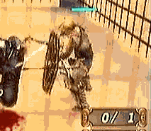 2b13029a.gif