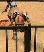 2d3d949e.gif
