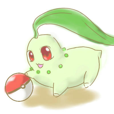 poke1.jpg