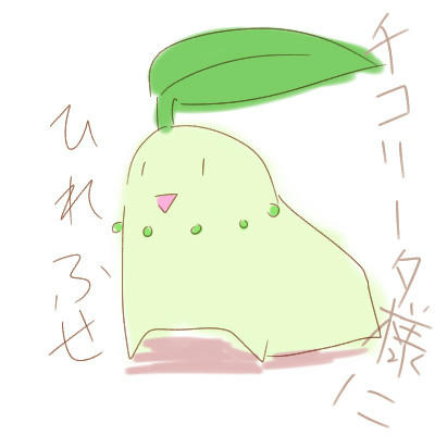 tiko.jpg