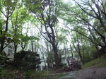 SH3G0009.JPG