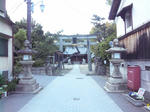 SH3G0020.JPG