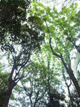 PAP_0016.JPG