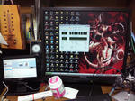 SH3G0030.JPG