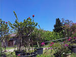 SH3G0146.JPG
