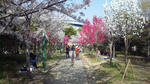 SH3G0463.JPG
