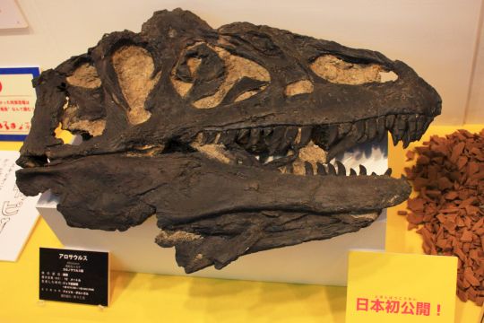 佐賀県立宇宙科学館『恐竜展2』その4