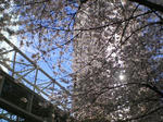 IMGP0856.JPG