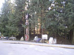 IMGP0645.JPG