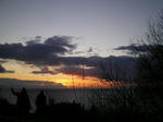 IMGP0768.JPG