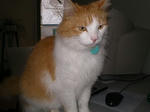 IMGP1118.JPG
