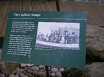 IMGP1185.JPG