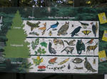 IMGP1226.JPG